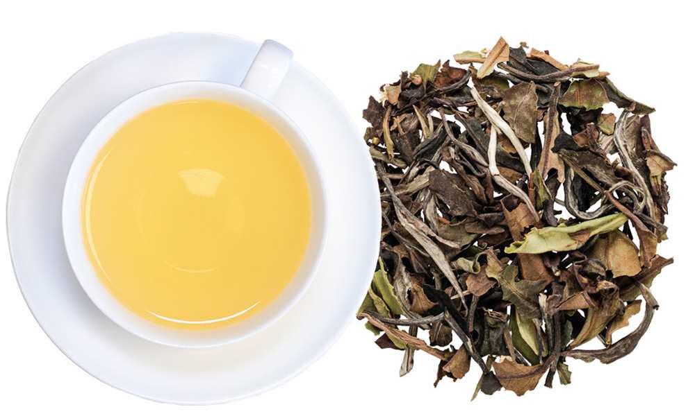 White Tea Elder Flower No.1042
