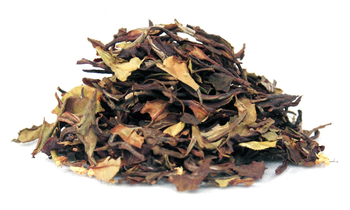 White Tea Elder Flower No.1042 - Tea G
