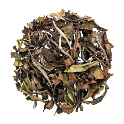White Tea Elder Flower No.1042 - Tea G