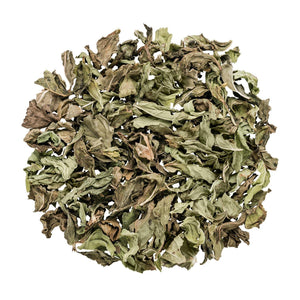 Nana Mint Organic No.1144 - Tea G