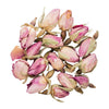 Rose Blossoms (Buds) Organic No.1242 - Tea G