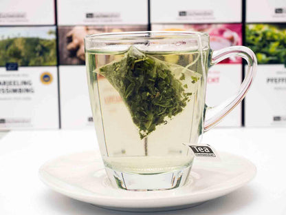 Marani  No.8642 - Tea G